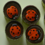 Buy Seattle Chocolates, Buy MistiMountainCandies, Buy Handmade Homemade Candy online