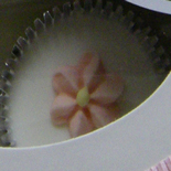 Buy Seattle Chocolates, Buy MistiMountainCandies, Buy Handmade Homemade Candy online